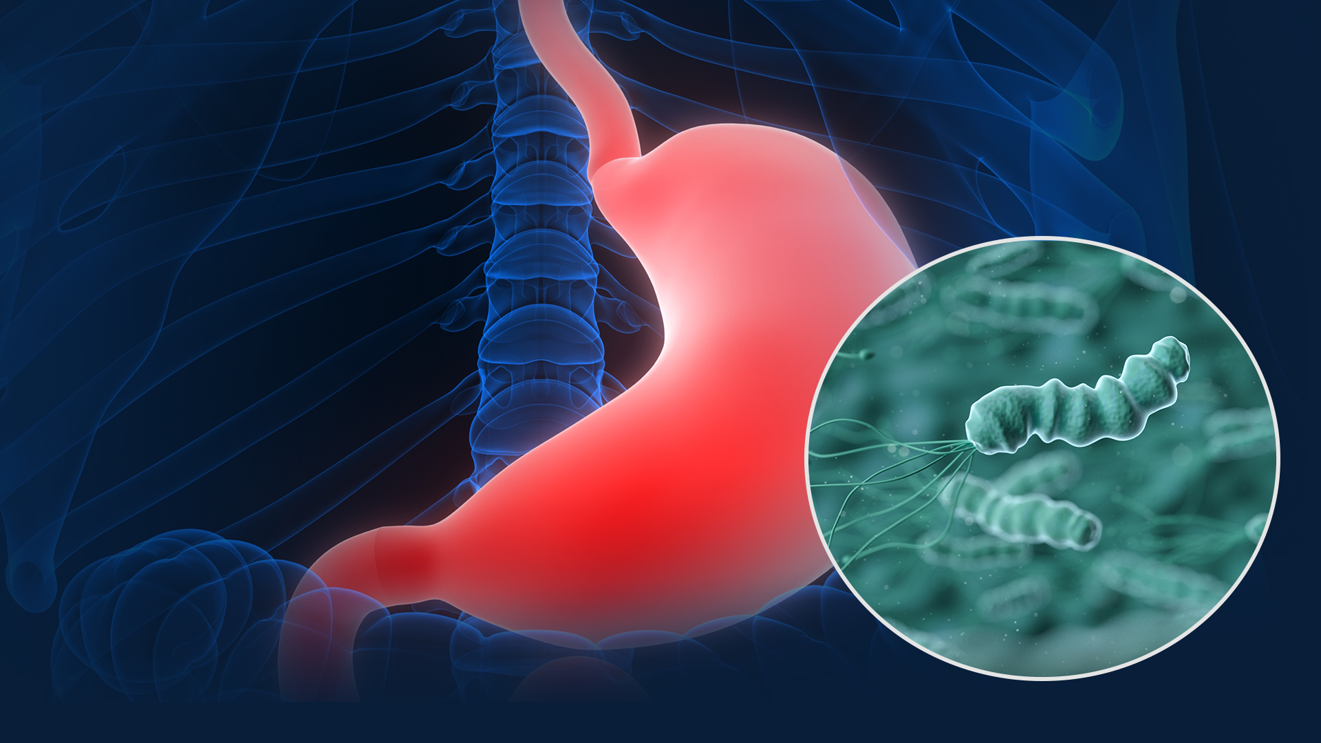 微信图片_20231214141735.jpg 微信图片_20231214141735.jpg